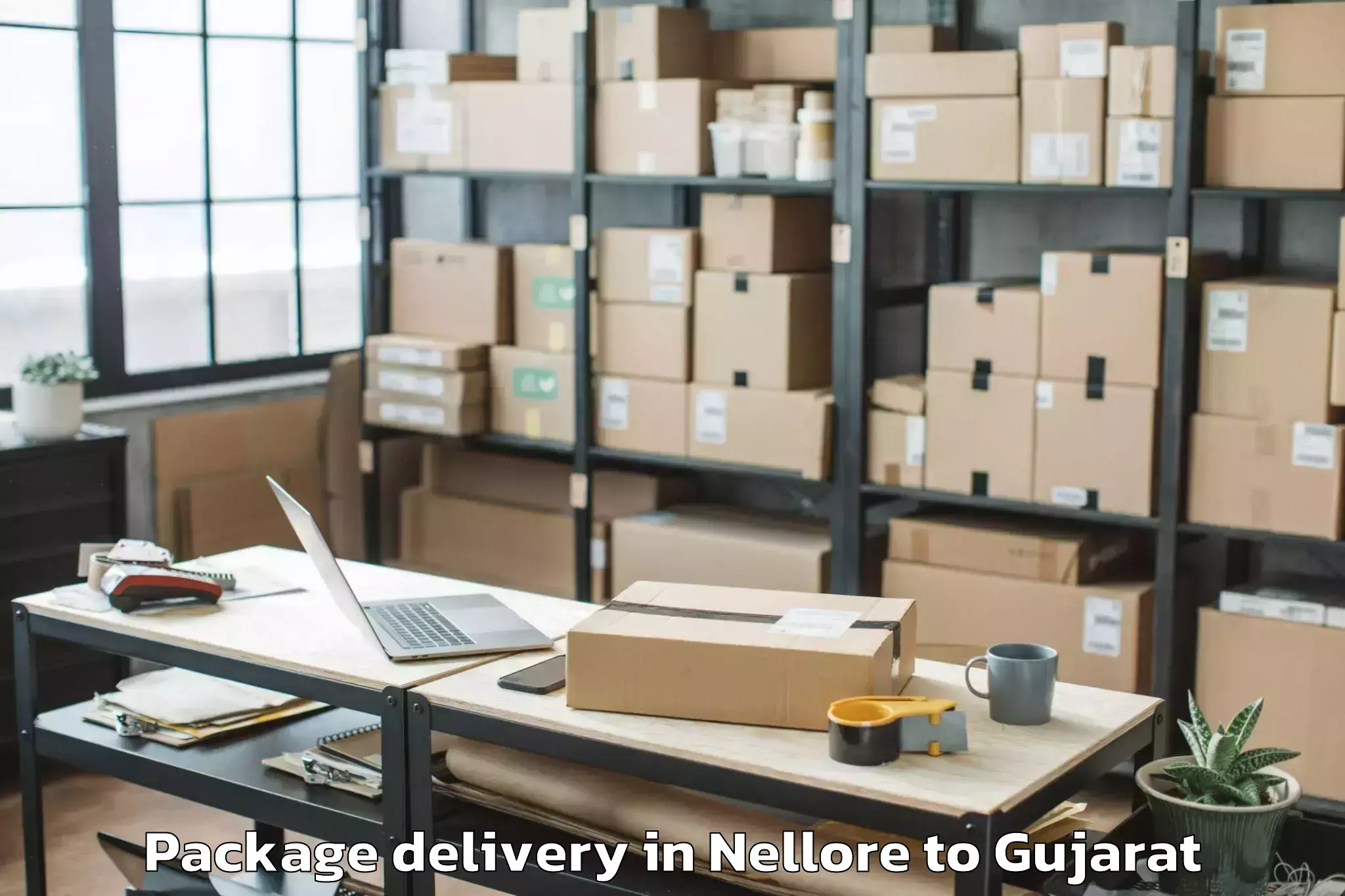 Quality Nellore to Ahmedabad Airport Amd Package Delivery